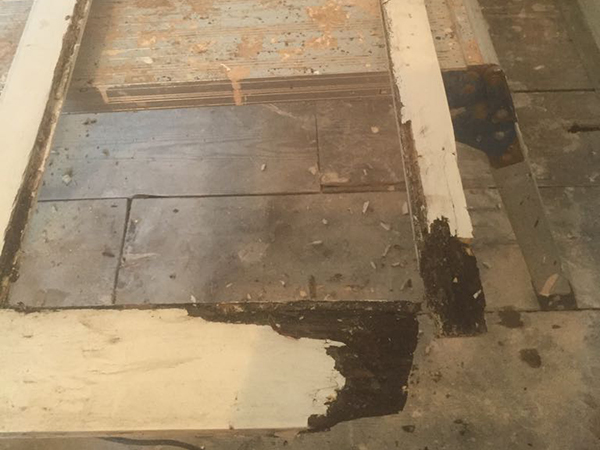 painter and decorator winchester, interior painter, exterior painter, painters, decorators, painting services, sash window repairs, carpentry, commercial painting, building maintanence, winchester, southampton, hampshire, wiltshire, surrey, oxfordshire